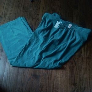 NWT Aqua Blue Microsuede Trouser Pants